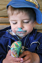 All sorts of fun ice creams and homemade fudge at Lewis Farm Market, Corn Maze & Petting Zoo in New Era, Michigan, north of Grand Rapids.
