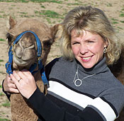 Camels are among the many interesting animals you will now see on a visit to Lewis Farm Market, Corn Maze & Petting Zoo in New Era, Michigan, north of Grand Rapids.