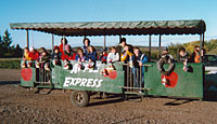 There's a place waiting for you on the Apple Express to the orchard Ride the Apple Express, Pick Apples and Pumpkins, and more-Lewis Farm Market, Corn Maze, & Petting Farm, New Era, Michigan, n of Grand Rapids