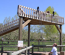 Kids love watching the goats go up the goatwalk to their tower Petting Zoo at Lewis Farm Market, Corn Maze, & Petting Farm, New Era, Michigan, n of Grand Rapids