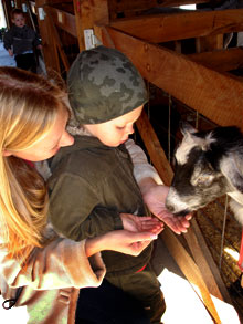 Kids love petting the farm animals at Lewis Farm Market, Corn Maze & Petting Zoo in New Era, Michigan, north of Grand Rapids.