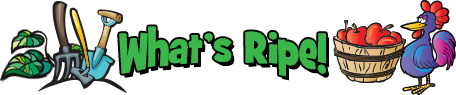 whatsRipe2